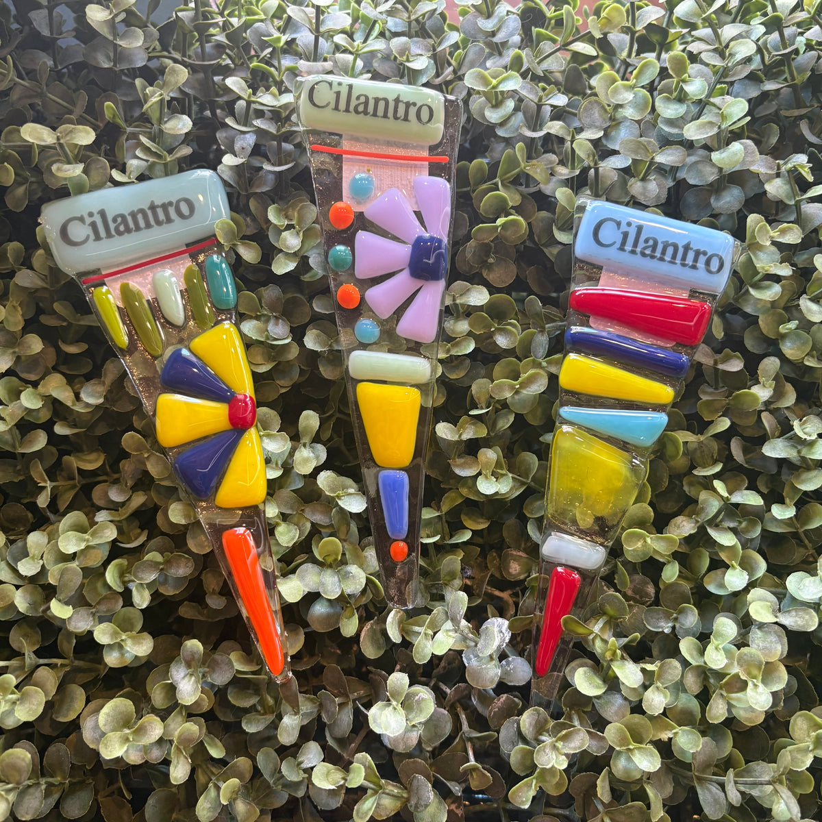 Assorted Glass Herb Markers