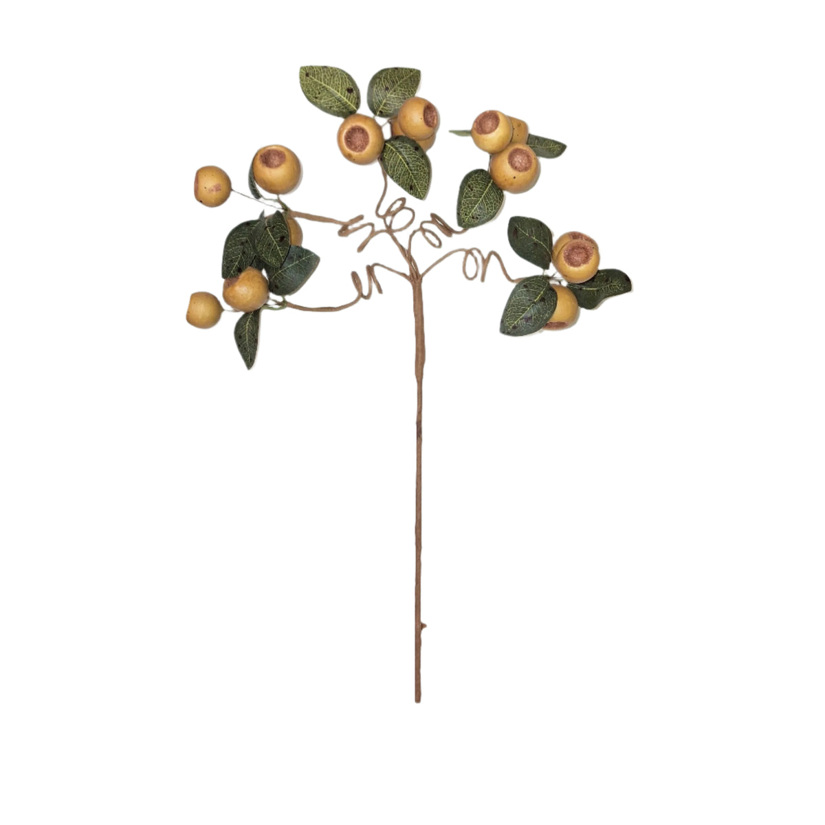 Olive Pod Spray Stem with Green Leaves - 19"