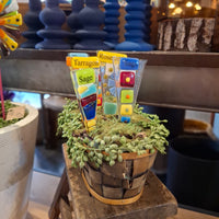 Assorted Glass Herb Markers