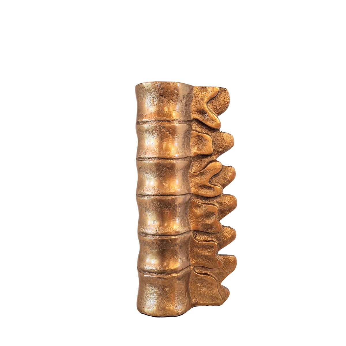 Decorative gold candle holder with a unique spine design.