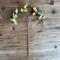 Olive Pod Spray Stem with Green Leaves - 19"