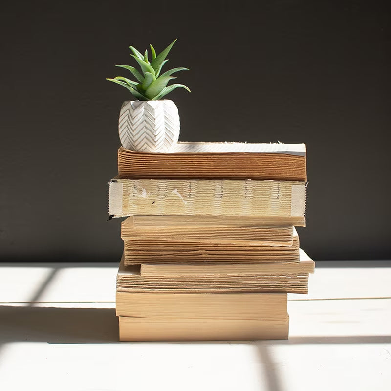 Repurposed Books Bundle