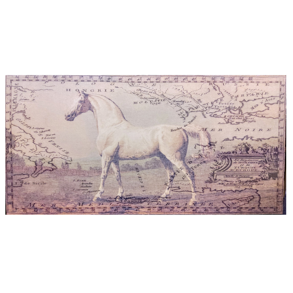 White Stallion Canvas Art Print by Elizabeth Lucas