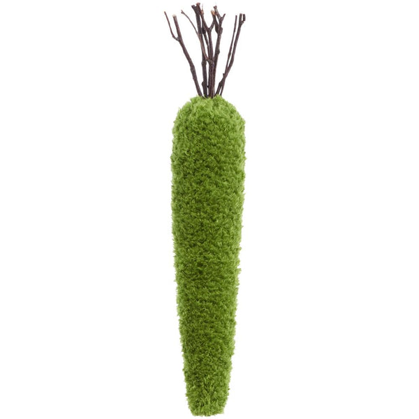Moss-covered carrot with a twig top on a white background
