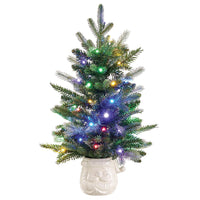23" Battery Operated Mixed Pine Tree in Santa Container With Light