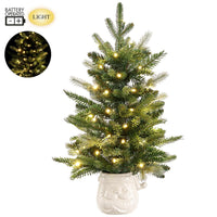 23" Battery Operated Mixed Pine Tree in Santa Container With Light