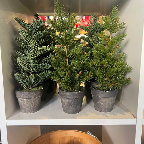 Assorted Miniature Potted Faux Pine Tree