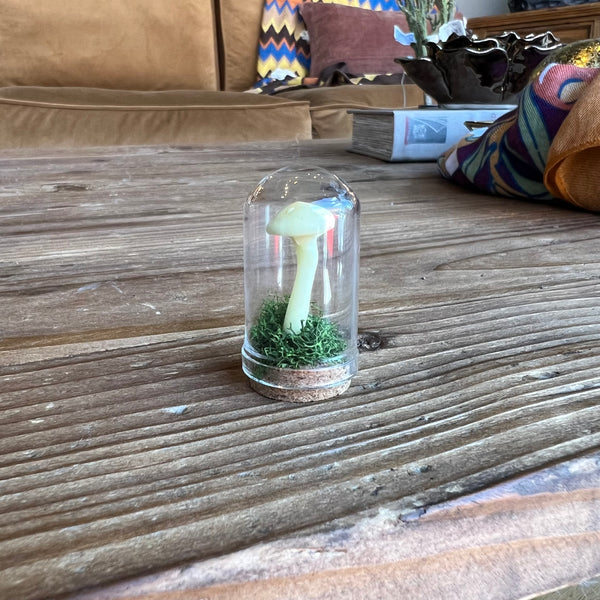 Handmade Miniature Ecoclay Mushroom Terrarium