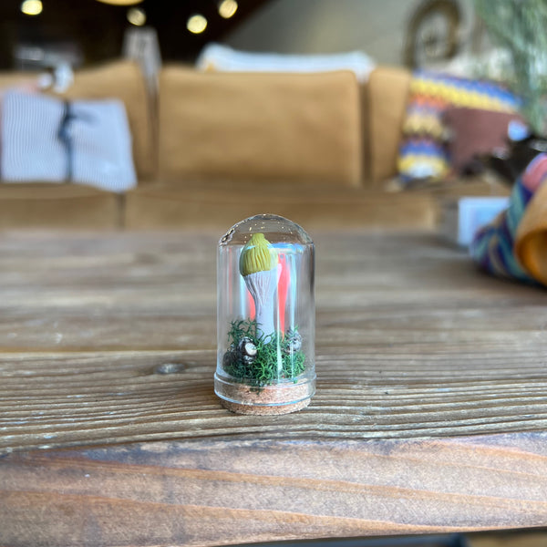 Handmade Miniature Ecoclay Mushroom Terrarium