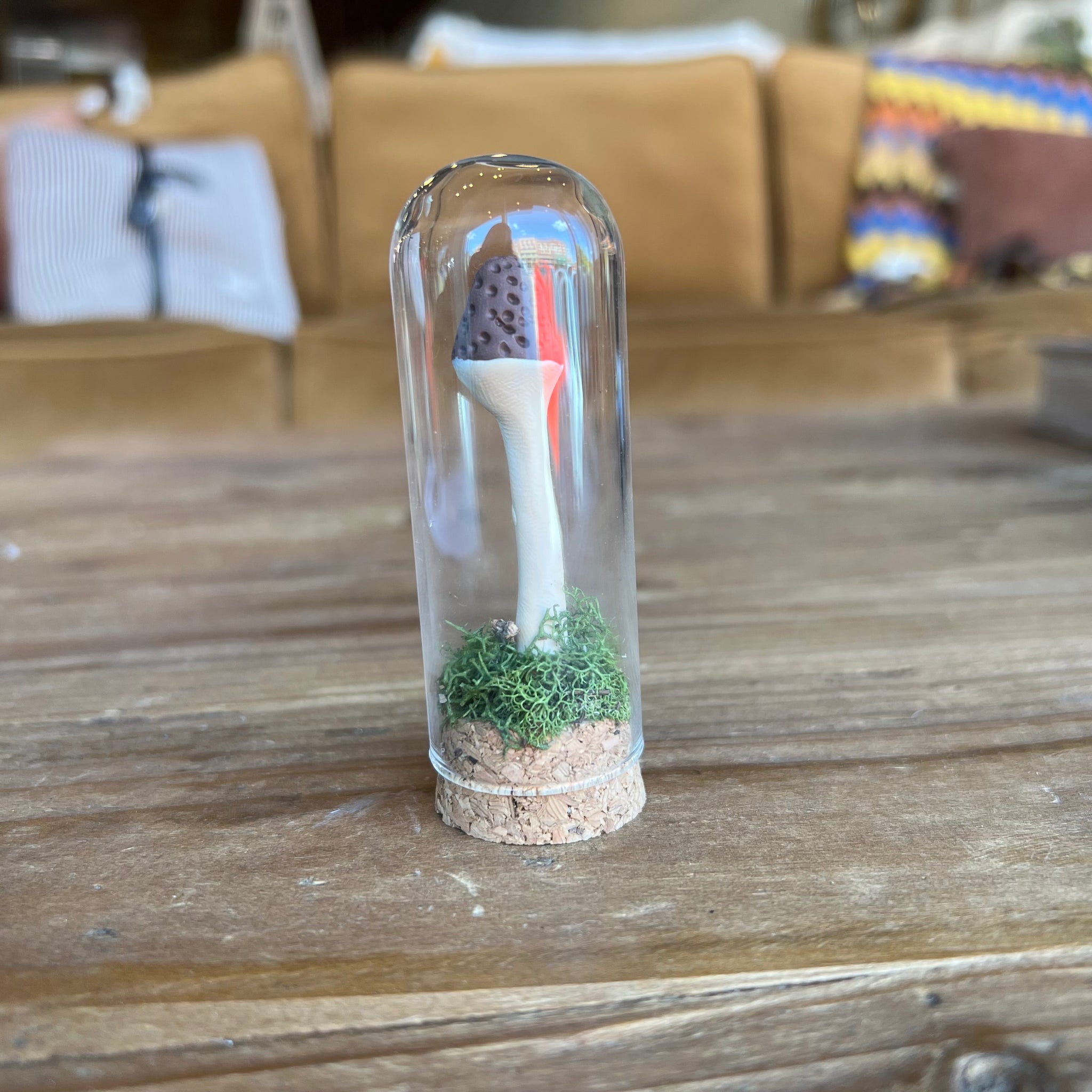 Handmade Small Ecoclay Mushroom Terrariums