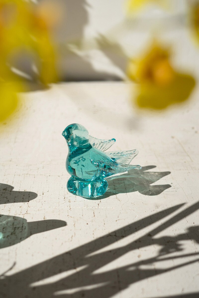 Glass Bird