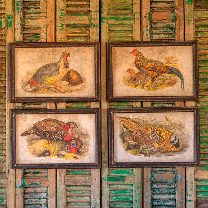 Exotic Fowl Prints w/ Wood Frame