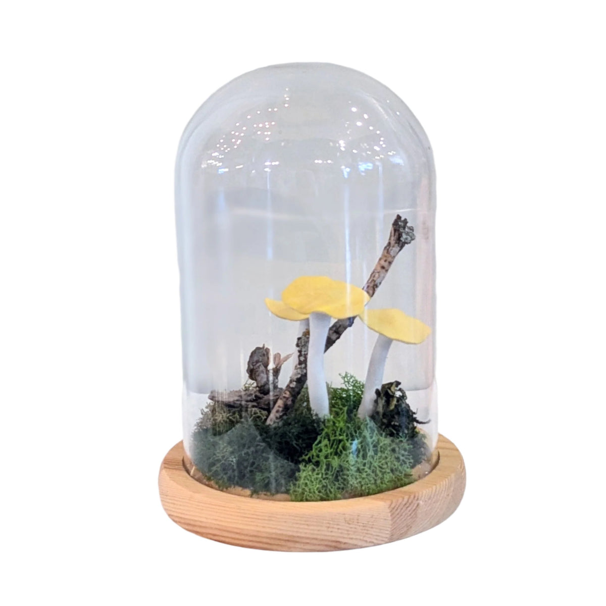 Handmade Ecoclay Yellow Capped Mushroom Terrarium