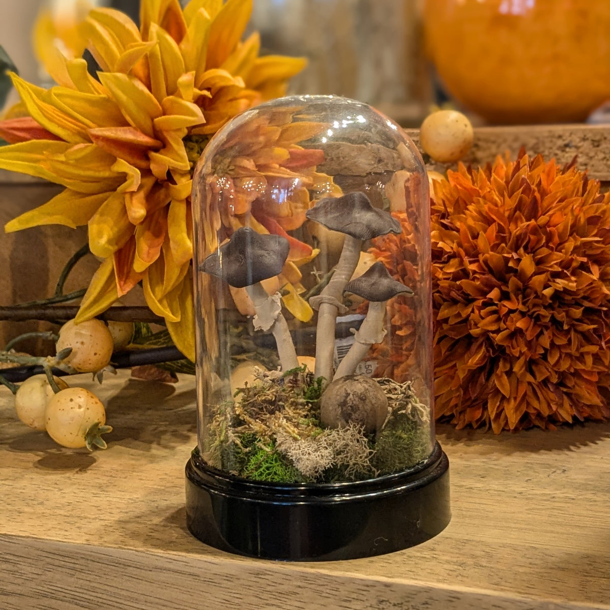 Handmade Large Ecoclay Mushroom Terrariums