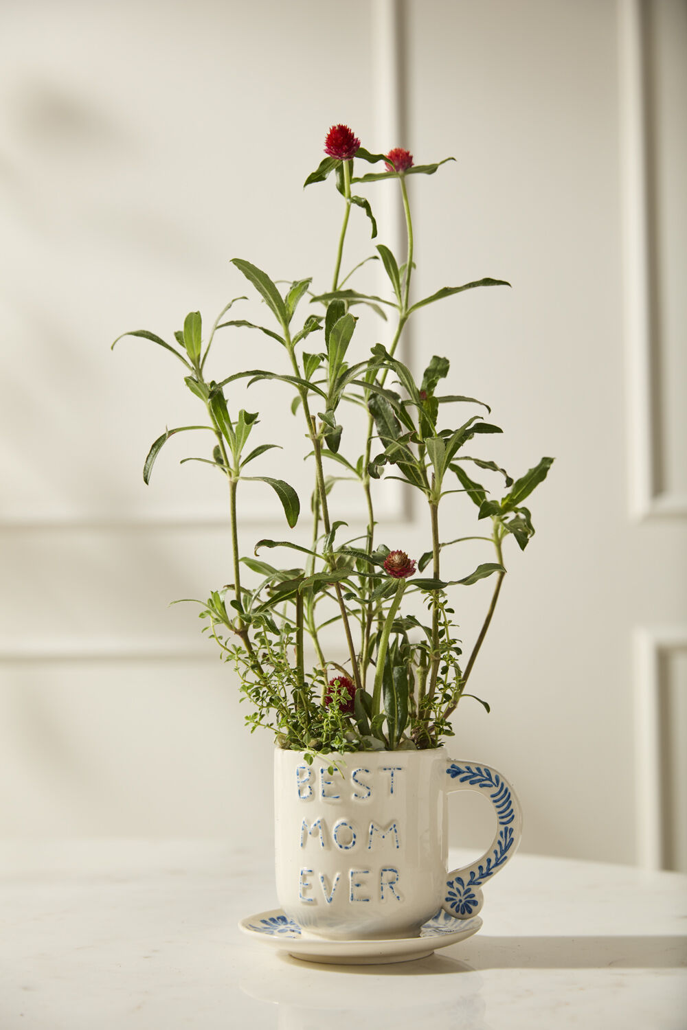Plant in a mug with 'Best Mom Ever' text on a neutral background