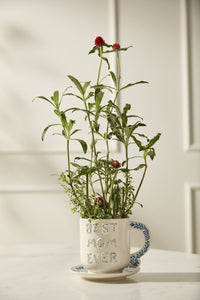 Plant in a mug with 'Best Mom Ever' text on a neutral background