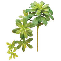 Faux Aeonium Succulent Branch