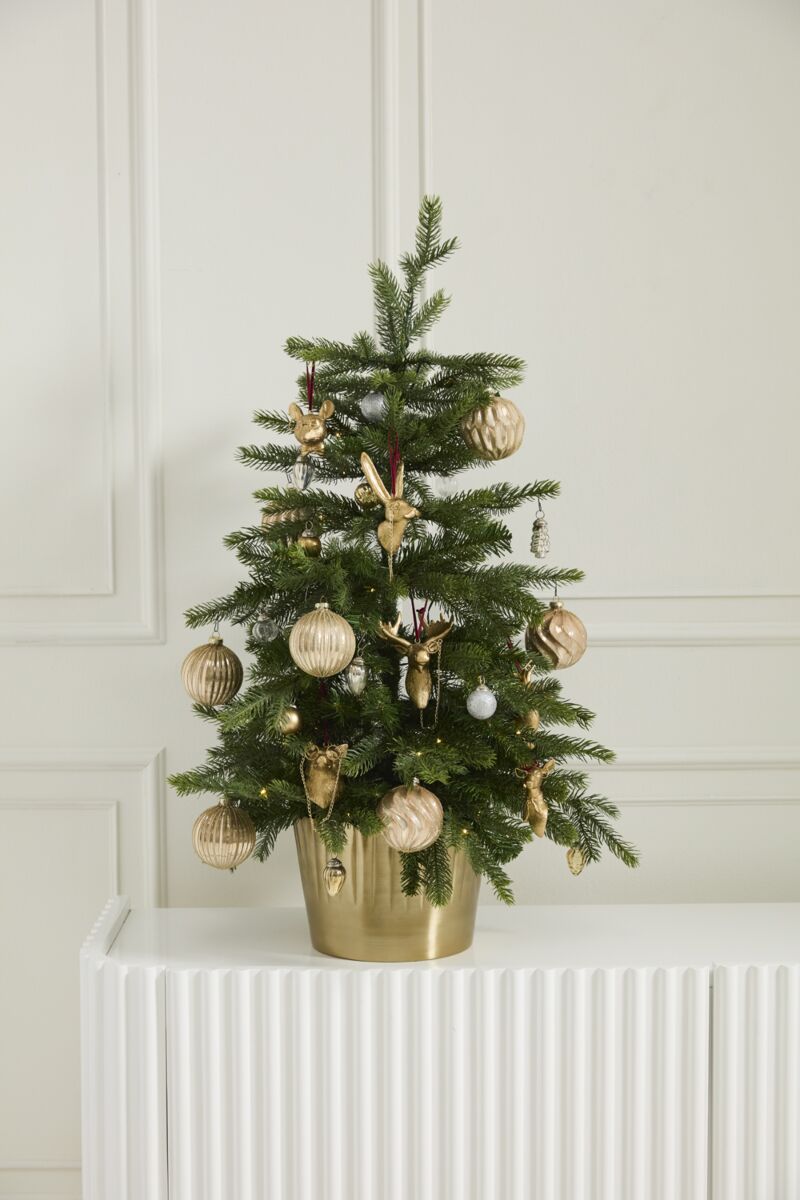 Eugene Ornament