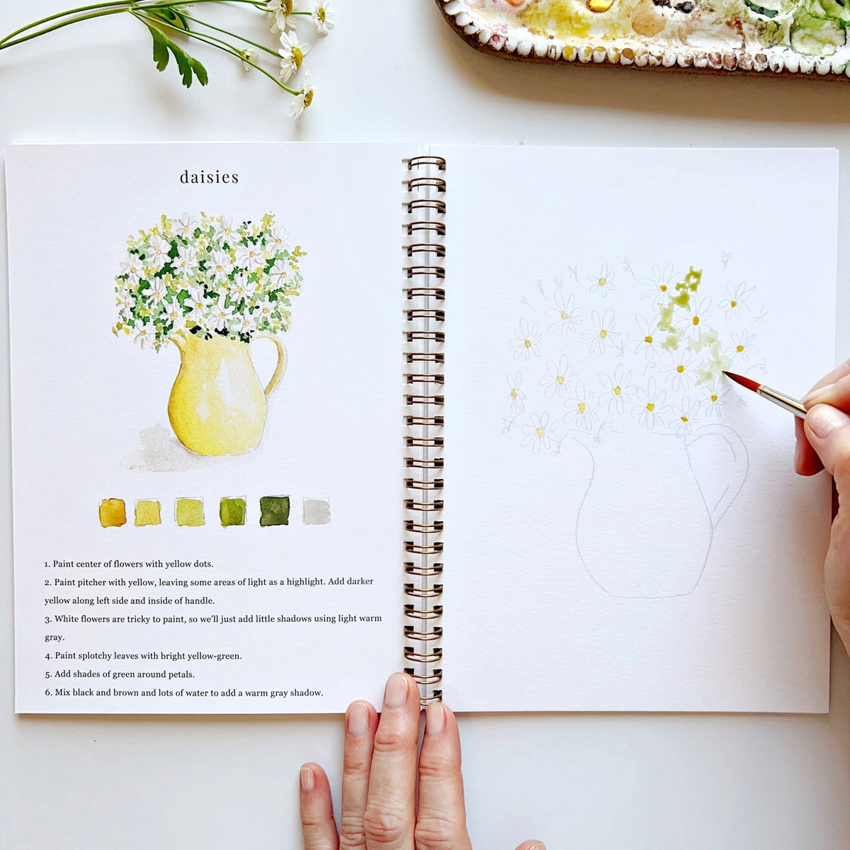 Open art book with daisies illustration and hand holding a paintbrush