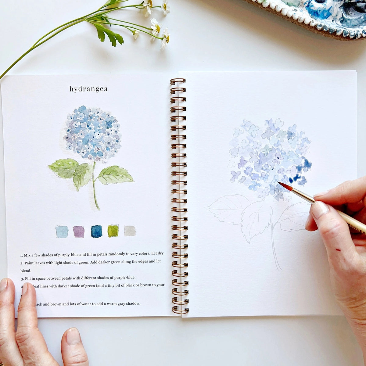 Person painting a watercolor hydrangea flower in a sketchbook with a color guide.