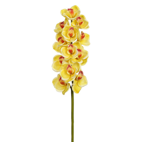 Faux Cymbidium Orchid - Yellow
