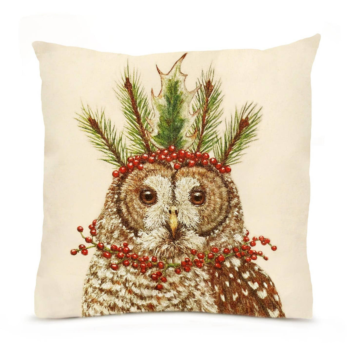 Candace the Owl 16 X 16 Pillow - Eric & Christopher