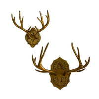 Oakdale Antler Wall Mount - 2 Styles