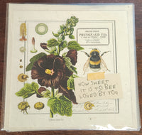 Wildflower Seeded Paper Post Card With Envelope 6x6