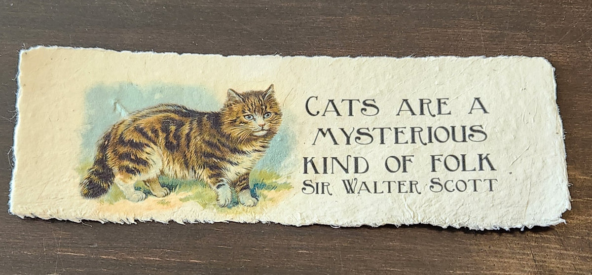 Inspirational Quote with Cat on Handmade Paper Print