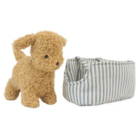 Toffee the Puppy in Carrier | Alimrose