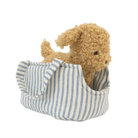 Toffee the Puppy in Carrier | Alimrose