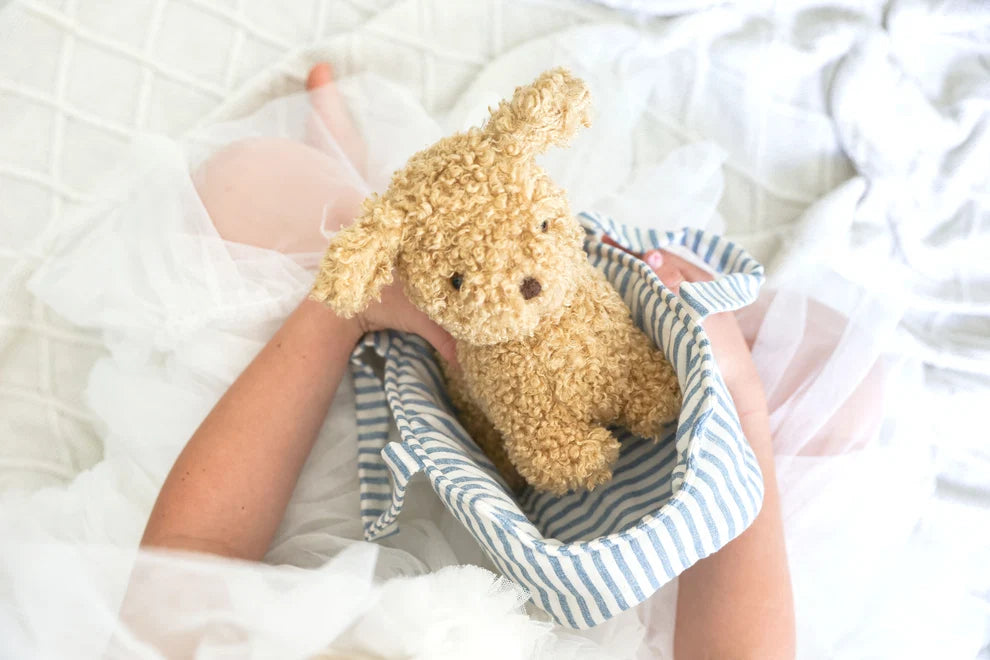 Toffee the Puppy in Carrier | Alimrose