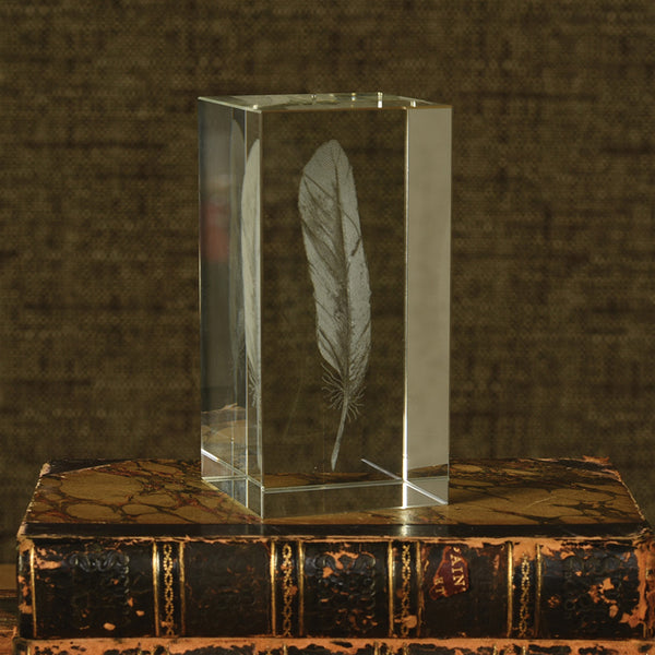 Glass Hologram Feather