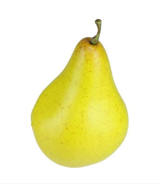 Bag of Decorative Pears