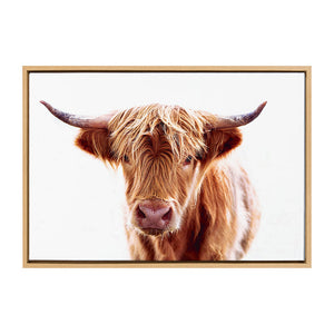 Framed Canvas Highland Cow