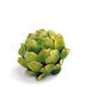 Green Artichoke
