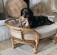 Rattan Dog Bed with Cotton Cushion