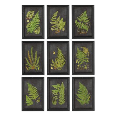 Framed Fern Print