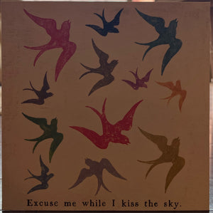 Excuse Me While I Kiss the Sky Poster