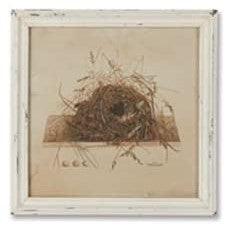 Framed Aviary/M