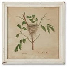 Framed Aviary/M
