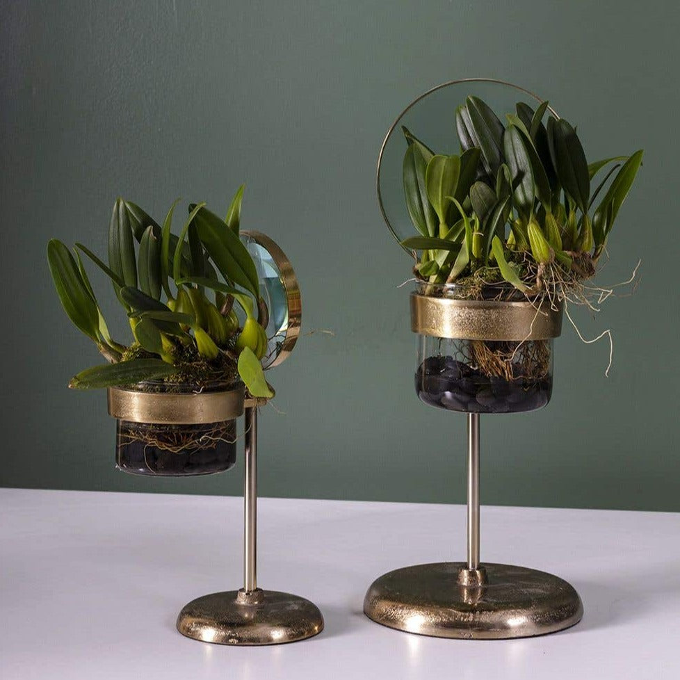 Brass Magnifying Glass Planter on Stand